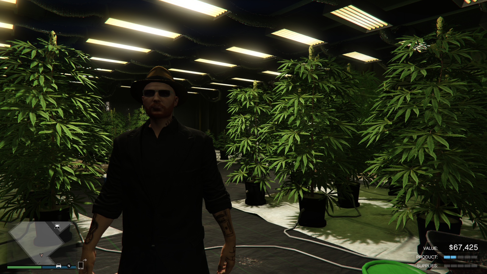 gta5weed.png